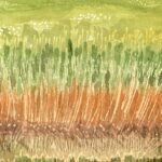 grasses on prince of whale 2 1:9:22 watercolourby Lauren McKinley Renzetti