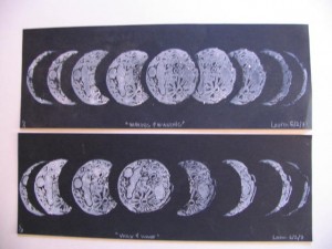 by Lauren McKinley Renzetti