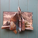 by Lauren McKinley Renzetti