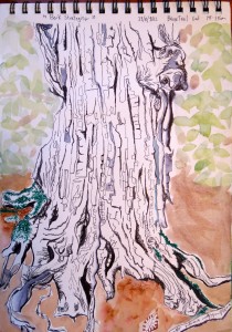 by Lauren McKinley Renzetti