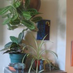 by Lauren McKinley Renzetti