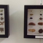 Hegelian Seed Collections by Lauren McKinley Renzetti