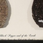 close up of Pepper and Earth by Lauren McKinley Renzetti