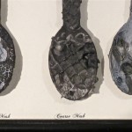 Fine Mesh, Course Mesh and of course the Moon, by Lauren McKinley Renzetti