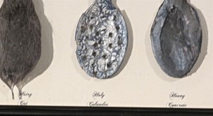 close up of Hairy, Holy and Heavyby Lauren McKinley Renzetti