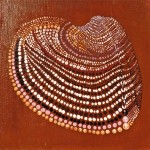 Shell by Lauren McKinley Renzetti