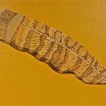 Sacred: Feather by Lauren McKinley Renzetti