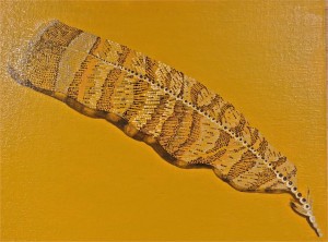 Sacred: Feather by Lauren McKinley Renzetti