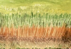 grasses on prince of whale 2 1:9:22 watercolourby Lauren McKinley Renzetti