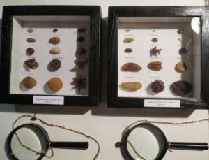 Hegelian Seeds of the Future and Extinction by Lauren McKinley Renzetti 2014, mixed media 10" x 10"