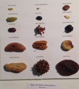 Hegelian Seeds of Extinction by Lauren McKinley Renzetti 2014, mixed media 10" x 10"
