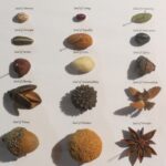 Hegelian Seeds of the Future by Lauren McKinley Renzetti 2014, mixed media 10" x 10"