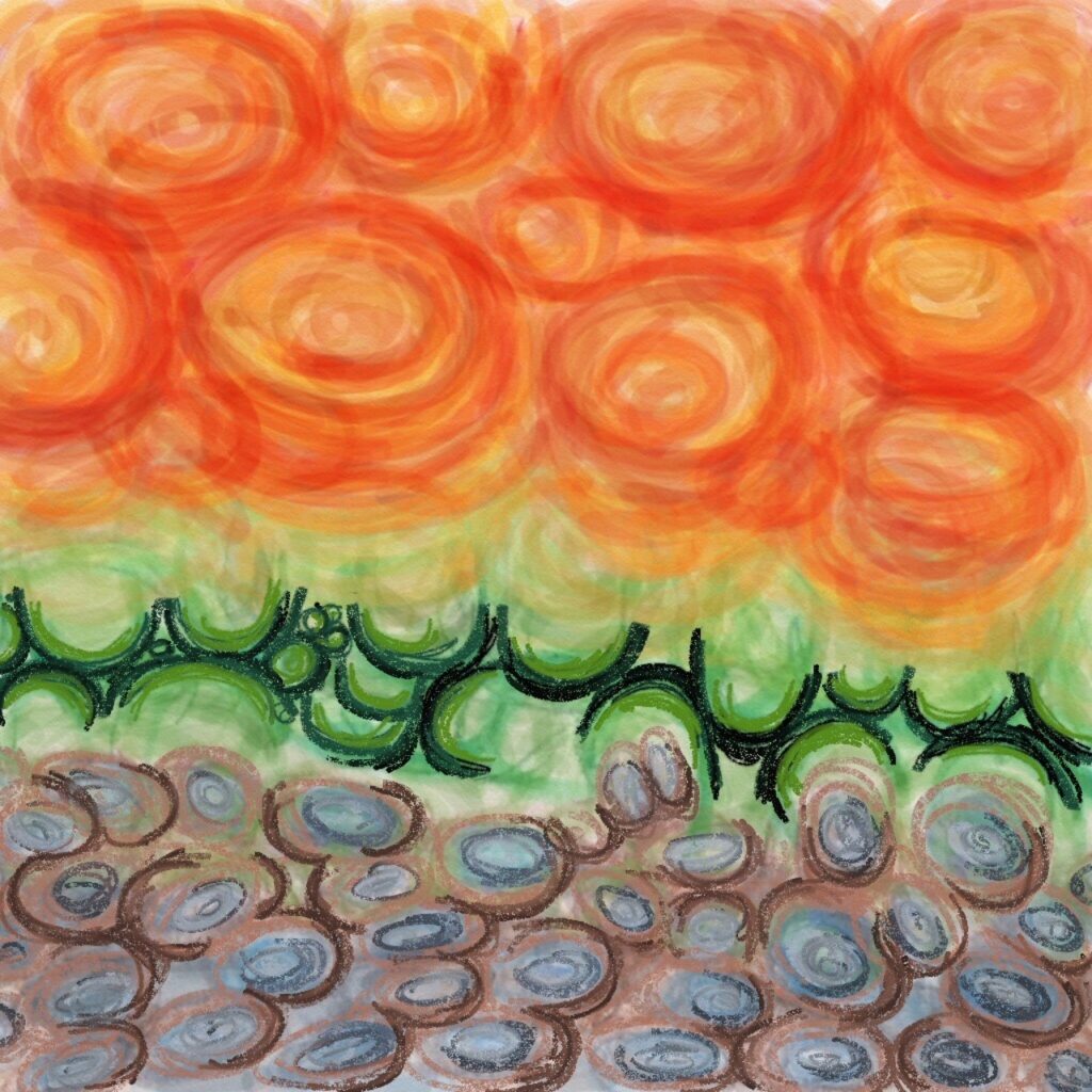 cantaloupe veil digital print by lauren mckinley renzetti