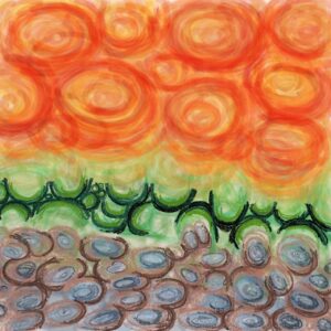 cantaloupe veil digital print by lauren mckinley renzetti