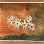 Flowers II by Lauren McKInley Renzetti